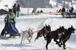 Lenk 2012 SM